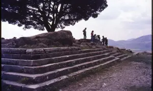 Vestiges du grand autel de Pergame, avec des marches de pierre et un groupe de visiteurs sous un grand arbre.