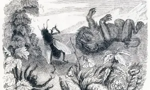 Un moucheron se tient devant un lion couché sur le dos, dans un paysage champêtre.