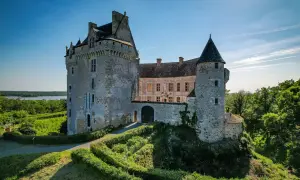 Le majestueux **château du Bouchet** se dresse fièrement sur une colline verdoyante, dominant un lac paisible sous un ciel bleu éclatant.