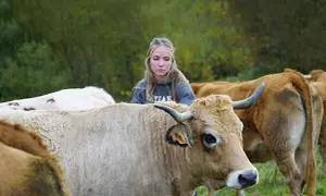 Une jeune femme regarde des vaches dans un pré.