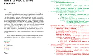 Le joujou du pauvre, poème de Baudelaire, oppose deux enfants, l'un riche, l'autre pauvre, fascinés par un rat, jouet vivant.
