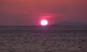 Un soleil couchant victor hugo, d'un rose intense, se reflète sur la mer calme, baignant le paysage d'une lumière poétique.