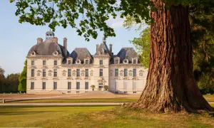 Le château de Cheverny, qui a inspiré Moulinsart, se dresse majestueusement sous un ciel bleu, encadré par un grand arbre.