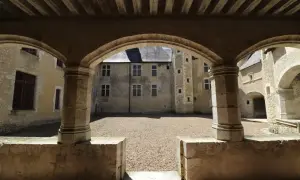 Vue d'une cour intérieure de château, avec des arches en pierre et un sol gravillonné. Une fougère sur bièvre, symbole discret de la nature, s'épanouit peut-être dans un coin caché.