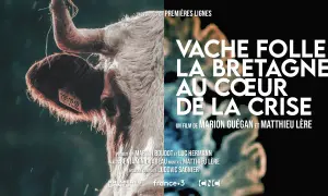 Gros plan sur une vache, avec le titre "Vache folle, la Bretagne au cœur de la crise". Une évocation de cette année difficile pour l'élevage.