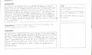 Le texte parle de la femme noire, de sa beauté et de son lien avec l'Afrique, dans le contexte du mouvement littéraire de la négritude.