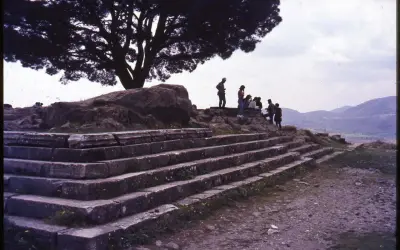 Vestiges du grand autel de Pergame, avec des marches de pierre et un groupe de visiteurs sous un grand arbre.