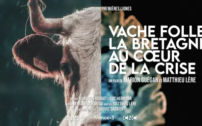 Gros plan sur une vache, avec le titre "Vache folle, la Bretagne au cœur de la crise". Une évocation de cette année difficile pour l'élevage.