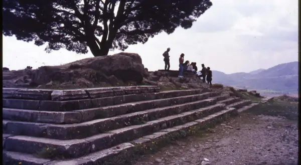 Vestiges du grand autel de Pergame, avec des marches de pierre et un groupe de visiteurs sous un grand arbre.