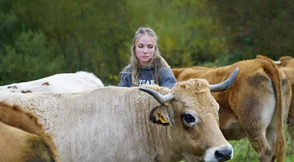 Une jeune femme regarde des vaches dans un pré.