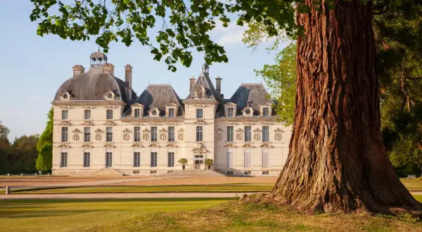 Le château de Cheverny, qui a inspiré Moulinsart, se dresse majestueusement sous un ciel bleu, encadré par un grand arbre.