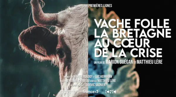 Gros plan sur une vache, avec le titre "Vache folle, la Bretagne au cœur de la crise". Une évocation de cette année difficile pour l'élevage.