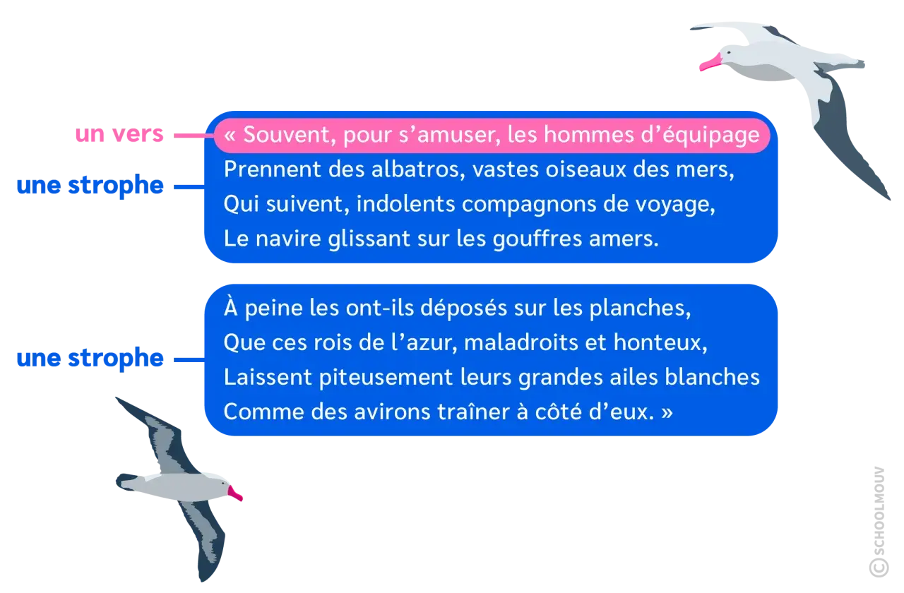 Deux albatros illustrent des strophes du poème de Baudelaire, évoquant ces "vastes oiseaux des mers".
