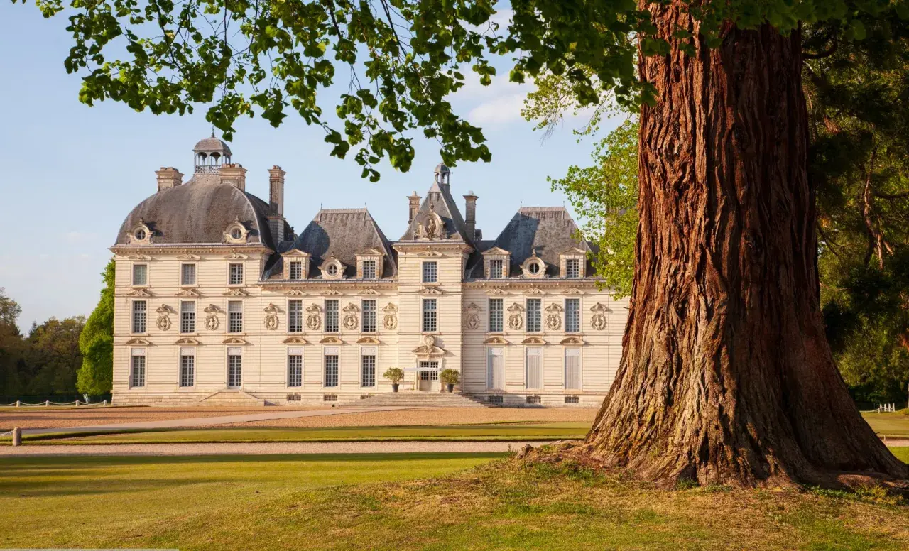 Le château de Cheverny, qui a inspiré Moulinsart, se dresse majestueusement sous un ciel bleu, encadré par un grand arbre.