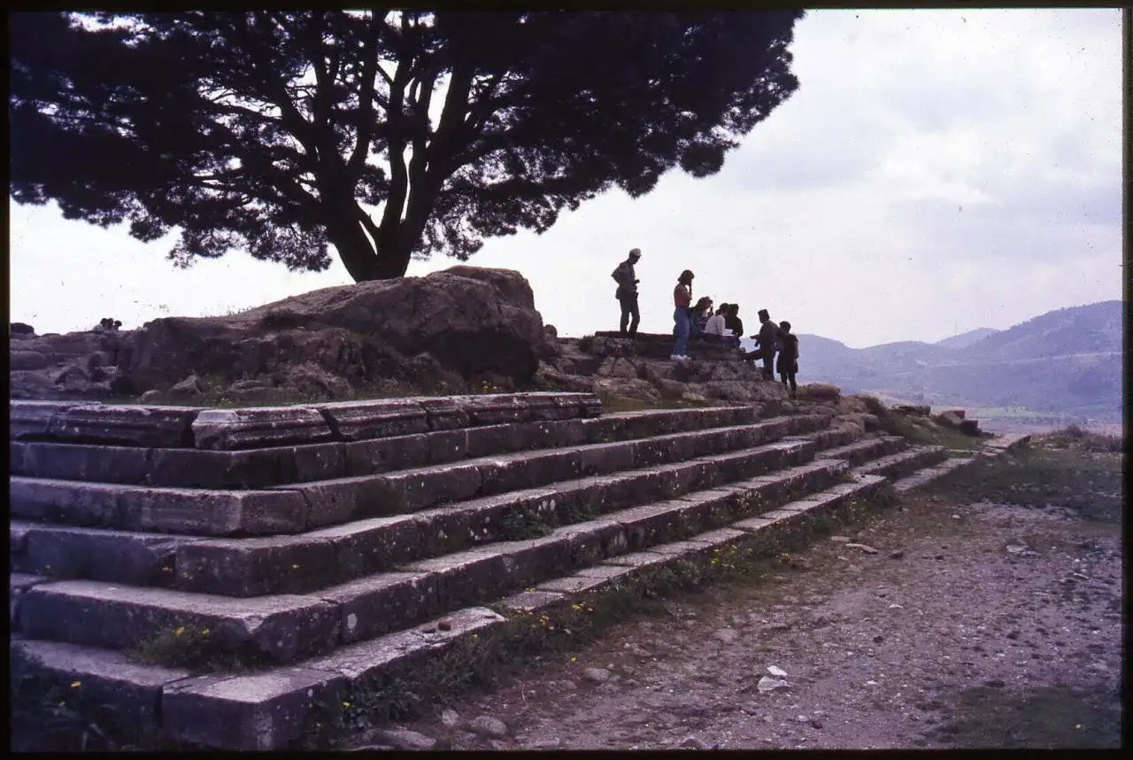Vestiges du grand autel de Pergame, avec des marches de pierre et un groupe de visiteurs sous un grand arbre.