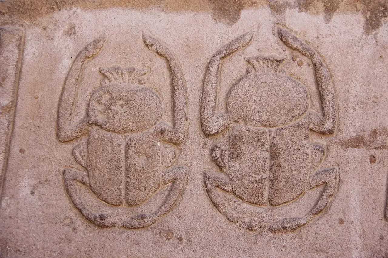 Deux scarabées sculptés dans la pierre, symbole de renaissance et de protection.