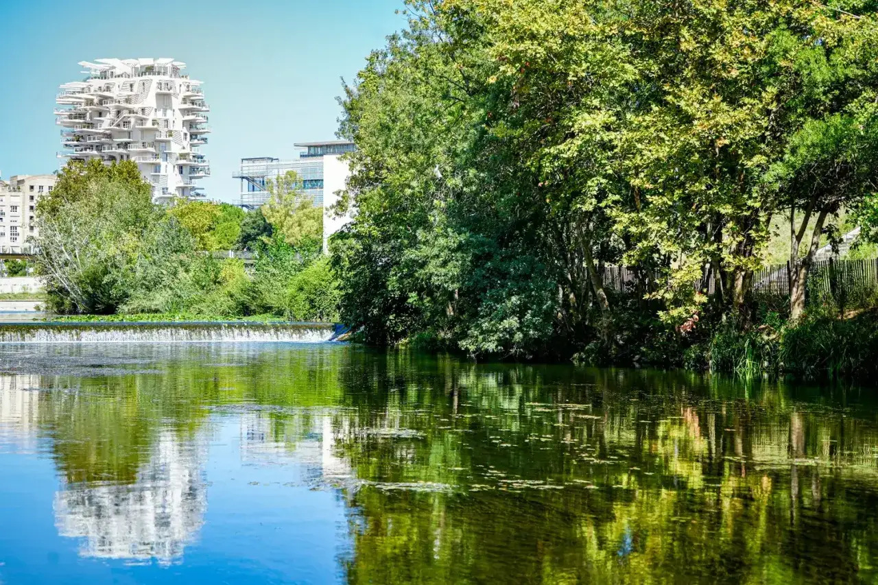 Calme sur le source du Lez, avec des reflets verts et bleus sur l'eau, et un immeuble blanc futuriste en arri&egrave;re-plan.