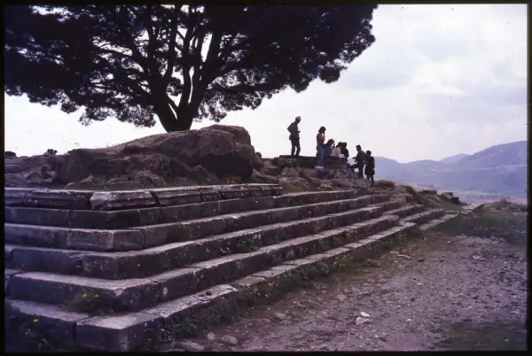 Vestiges du grand autel de Pergame, avec des marches de pierre et un groupe de visiteurs sous un grand arbre.