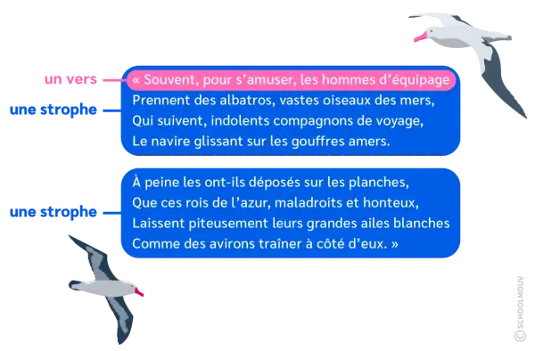 Deux albatros illustrent des strophes du poème de Baudelaire, évoquant ces "vastes oiseaux des mers".