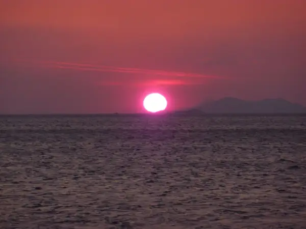Un soleil couchant victor hugo, d'un rose intense, se reflète sur la mer calme, baignant le paysage d'une lumière poétique.