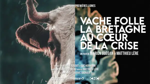 Gros plan sur une vache, avec le titre "Vache folle, la Bretagne au cœur de la crise". Une évocation de cette année difficile pour l'élevage.